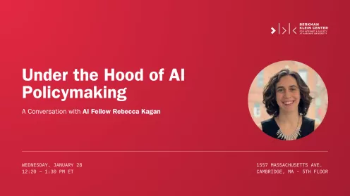 AT CAPACITY: Under the Hood of AI Policymaking