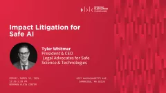 Impact Litigation for Safe AI
